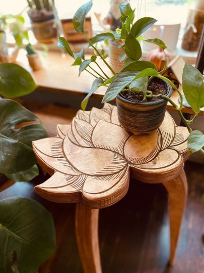 Discover Lotus Plant Stand and Shelf Gift