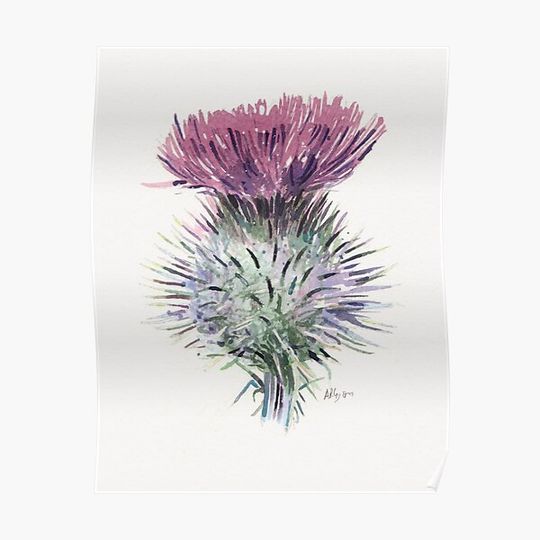 Discover Scottish Thistle Premium Matte Vertical Poster