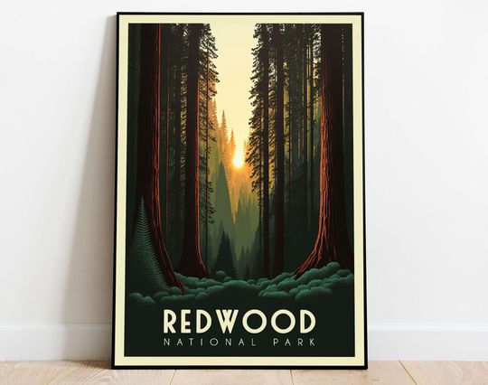 Discover Redwood National Park Poster, California Poster