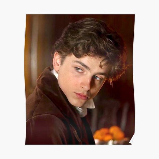 Discover Timothée Chalamet Premium Matte Vertical Poster