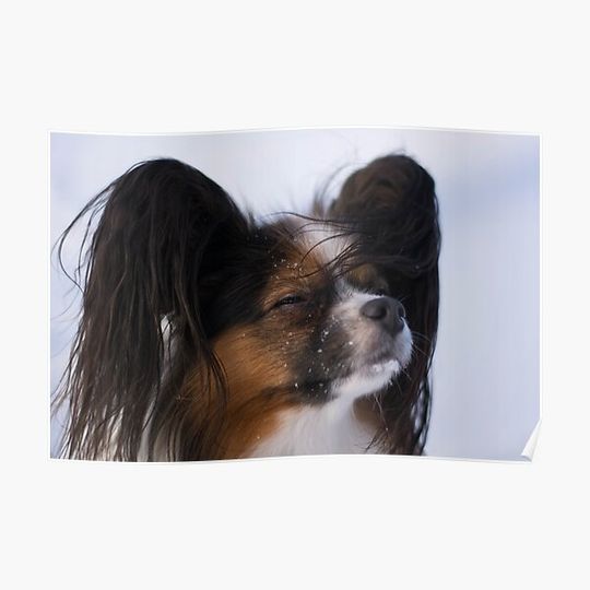 Discover Doggy Premium Matte Vertical Poster