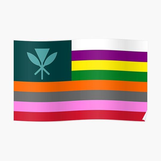 Discover Hawai'i State Flag Redesign - 2 Premium Matte Vertical Poster