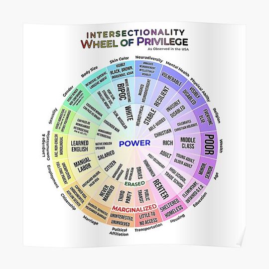 Discover Intersectionality: Wheel of Privilege Premium Matte Vertical Poster
