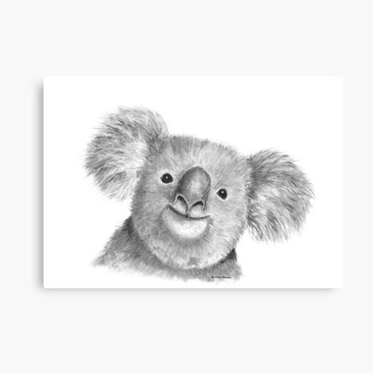 Discover Kevin Koala charcoal drawing Canvas