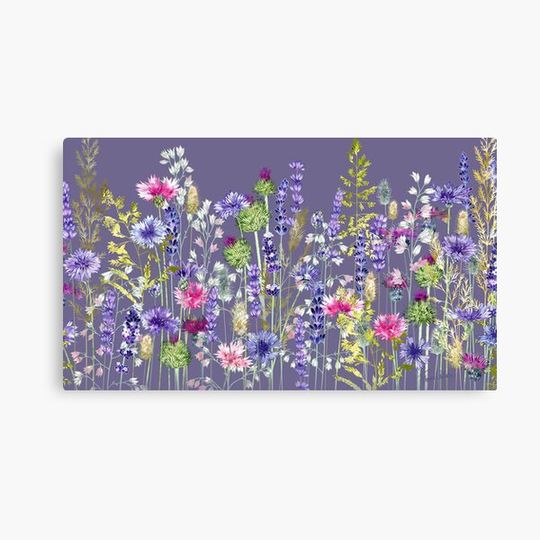 Discover Flower Meadow - Cornflowers, Thistles & Lavender Canvas