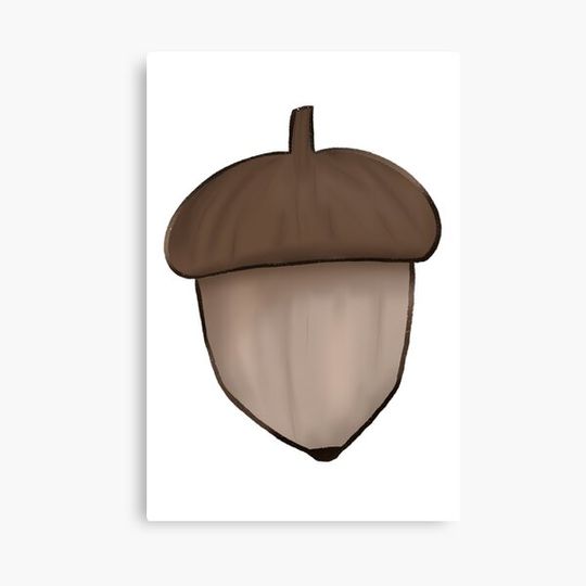 Discover Acorn Canvas