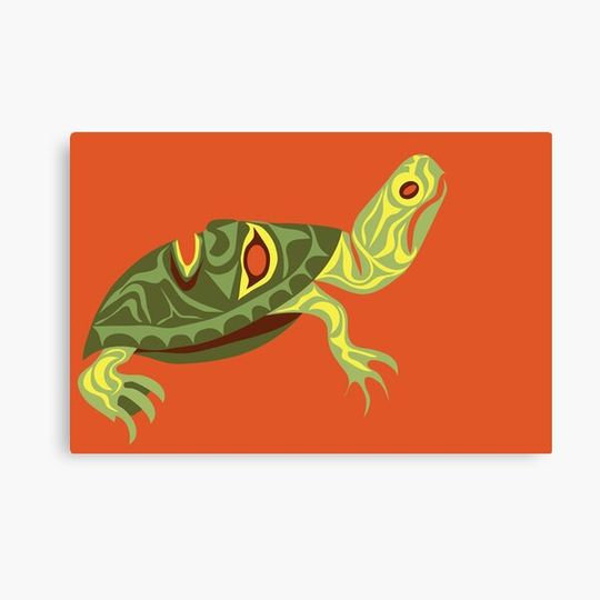 Discover Western Painted Turtle Canvas