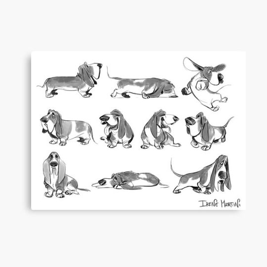 Discover Basset hound lovers Canvas