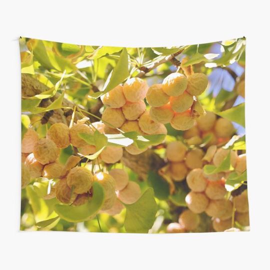 Discover Ginkgo Tree with Fruit Tapestry