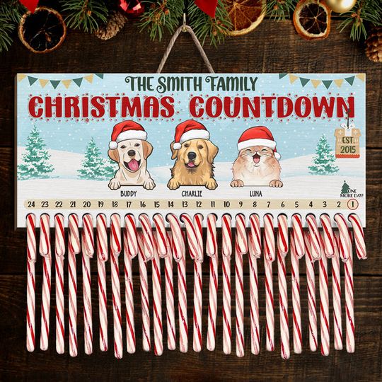 Discover Christmas Is The Most Wonderful Time Of The Year