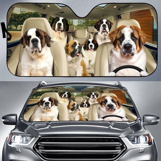 Discover St Bernard Car Sun Shade Collection