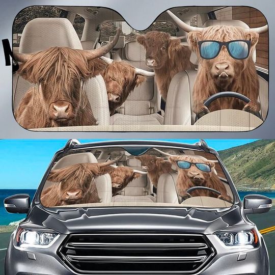 Discover Highland Cattle Lovers Funny Car Auto Sunshade, Car Windshield SunShade