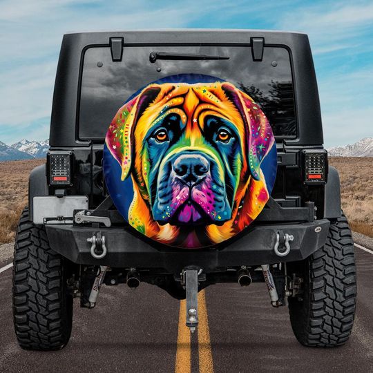 Discover Spare Tire Cover