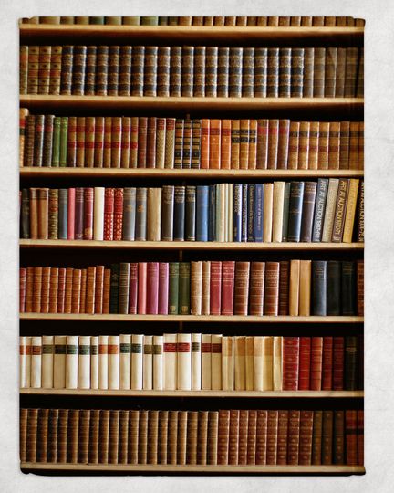 Discover Book Reading Library Blanket, Librarian Blanket