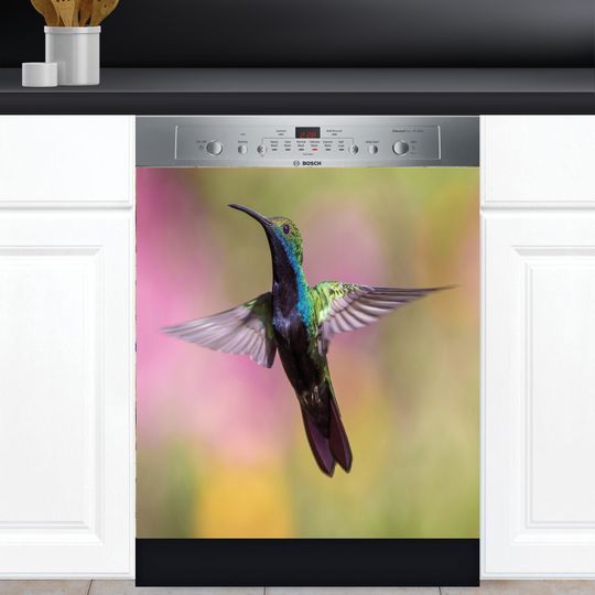 Discover Dishwasher Cover Choose Magnet
