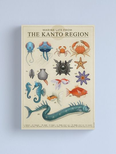 Discover Marine Life from Kanto | Canvas Print