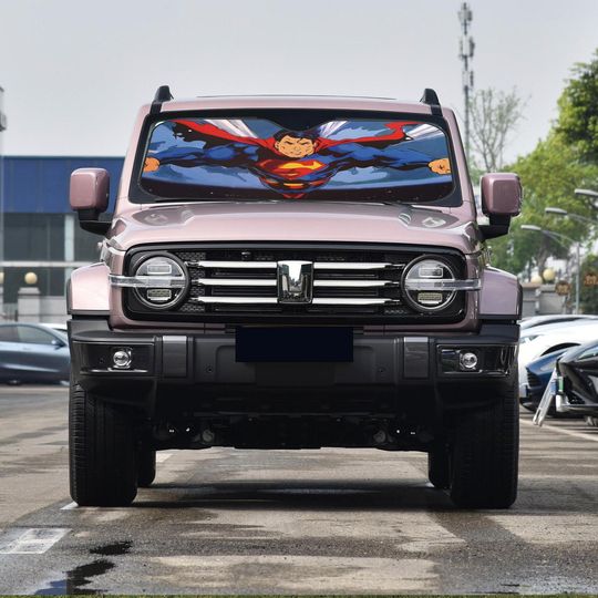 Discover Anime Foldable Car Windshield Sun Shade