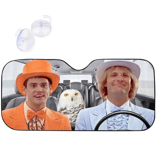 Discover Lloyd and Harry Car Sun Sun Shade