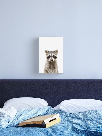 Discover Baby Raccoon - peekaboo animals collection | Canvas Print