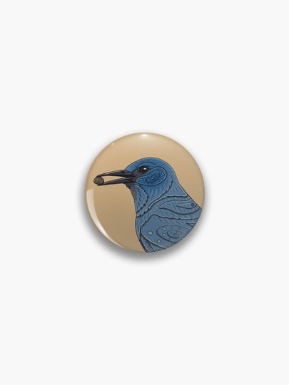 Discover Pinyon Jay | Pin