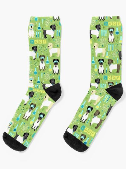 Discover Lab Assistants | Socks