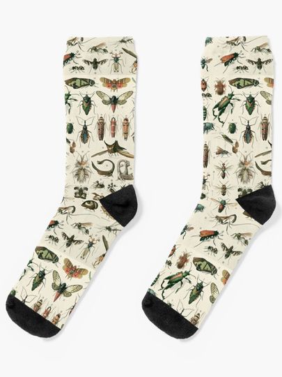 Discover Insects 2 | Socks