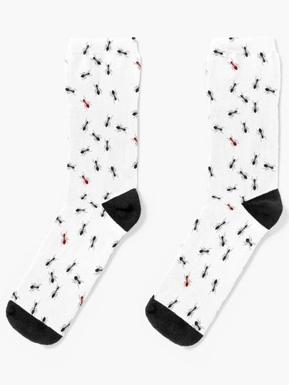 Discover ANTS! | Socks
