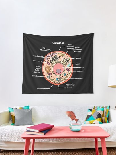 Discover Labeled Animal Cell Diagram | Tapestry