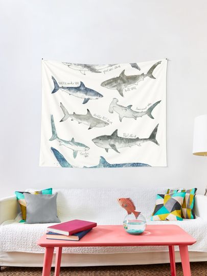 Discover Sharks | Tapestry