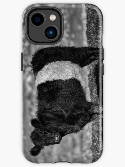 Discover Belted Galloway Calf | iPhone Case