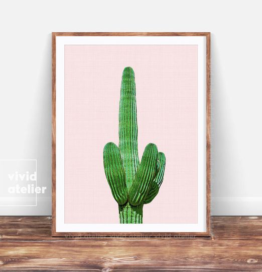 Discover Cactus Print - Botanical Photography Wall Art