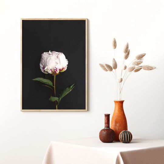 Discover Peony Flower Botanical Art Print