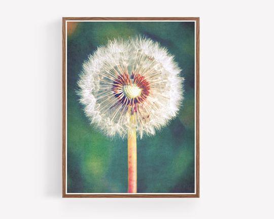 Discover Dandelion Botanical Printable Art