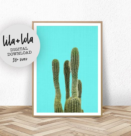Discover Cactus Print, Western Decor, Printable Large Poster, Modern Botanical Photo, Plant Photography, Boho Arizonna Mexican Wall Art, Turquoise