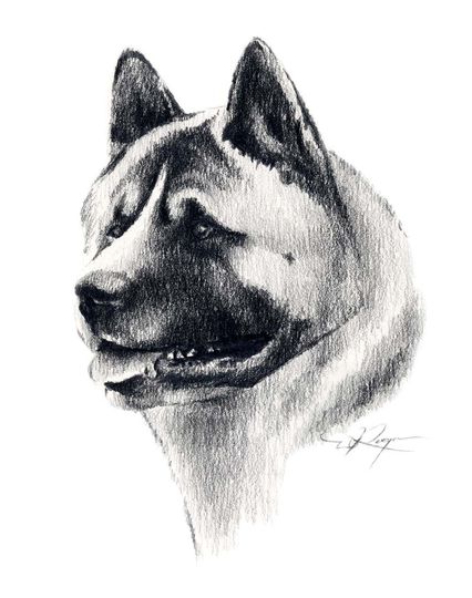 Discover AKITA Dog Art Print by Artist DJ Rogers