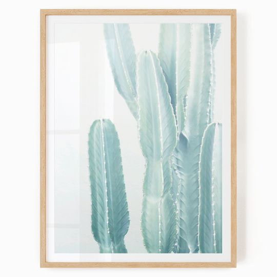 Discover Pastel Cactus Wall Art Digital Download