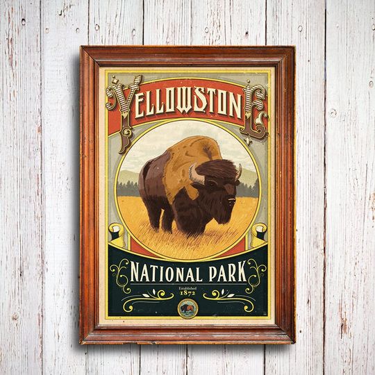 Discover YStone National Park Vintage Poster