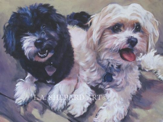 Discover HAVANESE dog art PRINT of LA Shepard painting 12x16 havanais