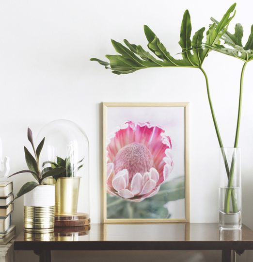 Discover Protea Print, Printable Wall Art Poster, Pink, Floral, Botanical, Bedroom Decor, Native Flower Photography, Australian