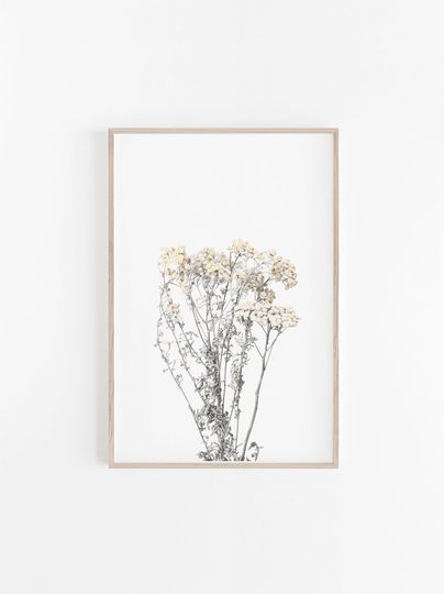 Discover Botanical Print - Dried Flower Art for Home Decor