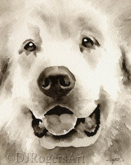 Discover GREAT PYRENEES Sepia Art Print by Watercolor Artist DJ Rogers