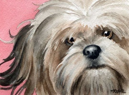 Discover LHASA APSO Art Print Watercolor Artist DJ Rogers