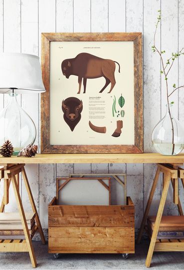 Discover American Bison Poster, National Park Art, YStone Bison, American buffalo, parks wildlife, scientific illustration