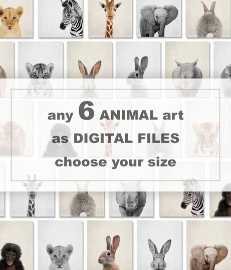 Discover Set of 6 Baby Animal Printable Nursery Art