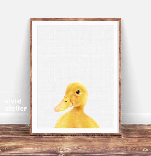 Discover Duckling Print - Cute Farm Animal Nursery Art