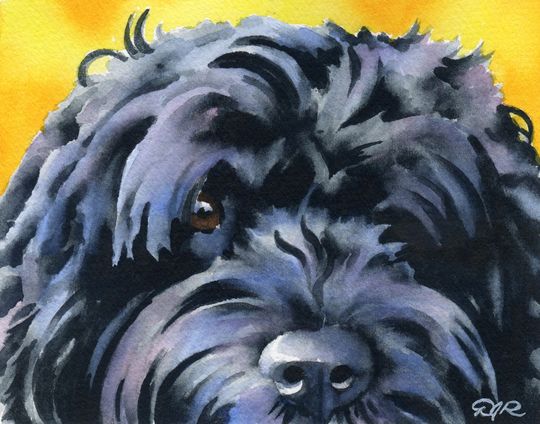 Discover Portuguese Water Dog Art Print by Watercolor Artist DJ Rogers