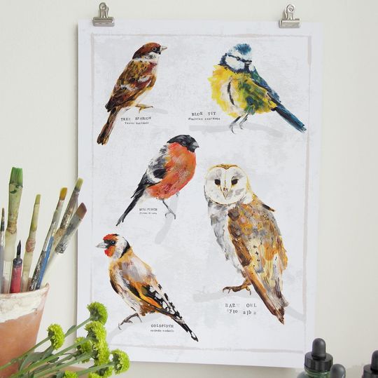 Discover British Garden Birds Collection Digital Art Print