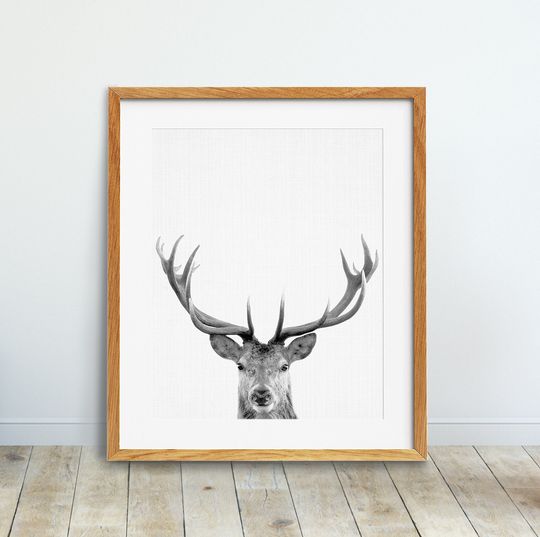 Discover Deer Print - Woodland Nursery Decor