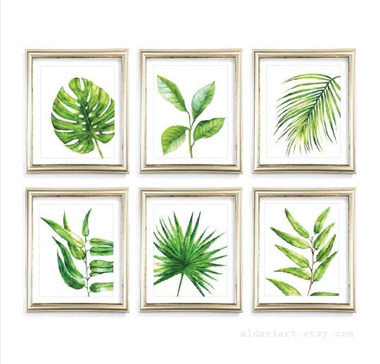 Discover Tropical Plant Wall Art - Monstera Leaf Print Set