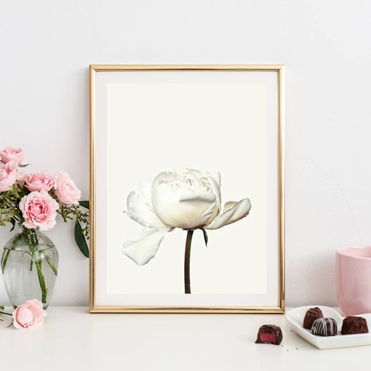 Discover Antique White Peony Botanical Print for Instant Download